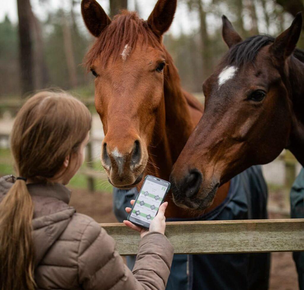 Horse Info app op telefoon met snuffelende paarden.